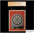 Our Own TCNAZ Dart Light